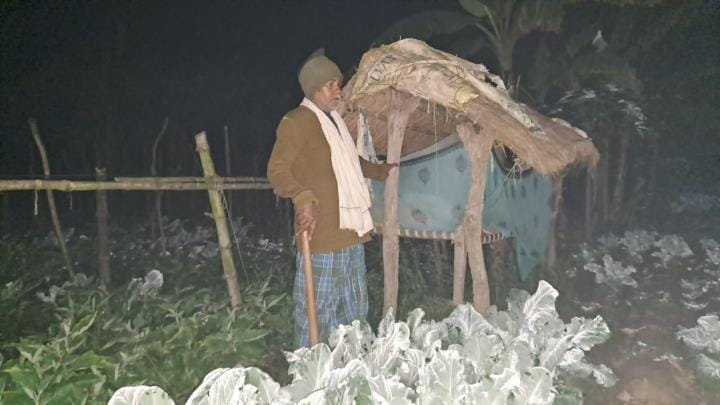 Wild animals woken up...farmers are waking up