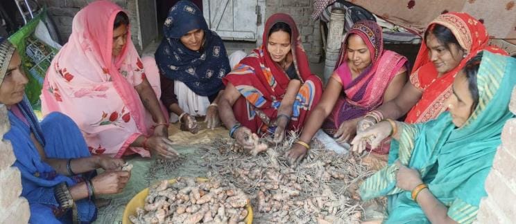Now the whole country will taste the taste of turmeric from Bahraich