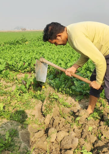 Young farmers of Didwara village are inspiring people towards natural farming.