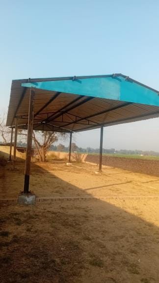 Shed installed in Haddarodhi without any need, Panch wrote a letter to the Deputy Commissioner for investigation