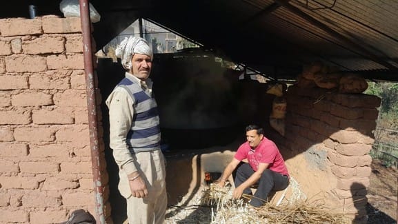 The sweetness and aroma of sugar is making farmers rich