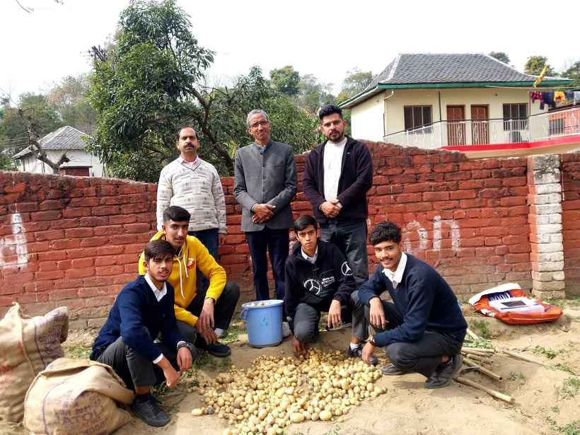 Agriculture subject students of Jhanduta School grew 120 kg potatoes.