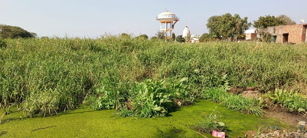The pond is filled with dirt, it is difficult to reach the temple due to waterlogging