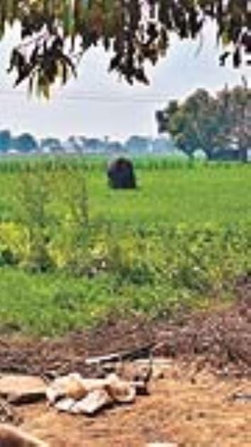 deyaree ka boyalar phata, do majadoor ghaayal