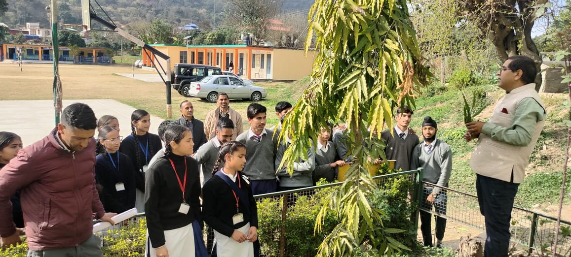 Tell children the importance and benefits of medicinal plants