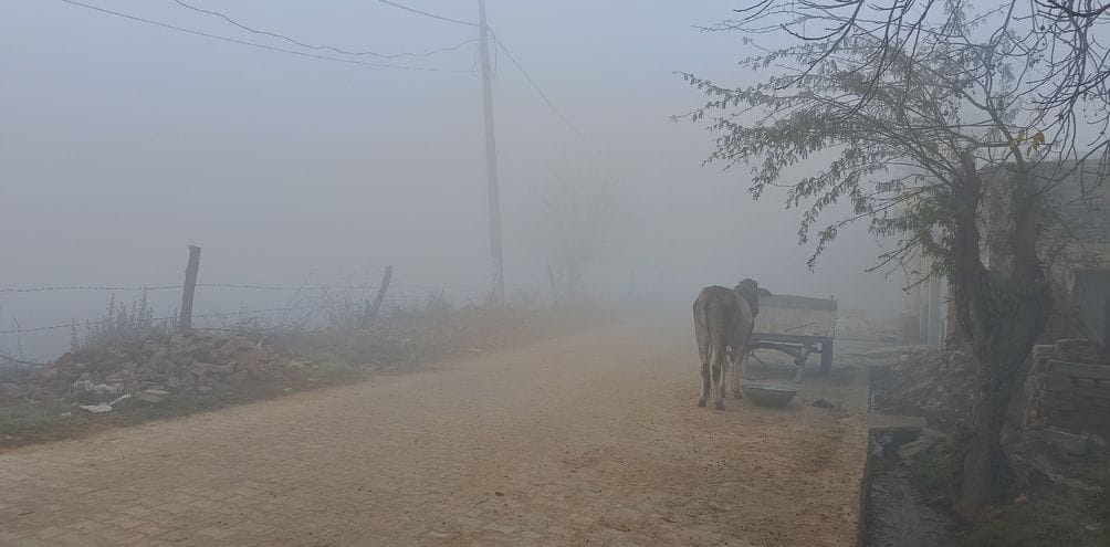 Once again the effect of fog was visible, visibility was ten meters