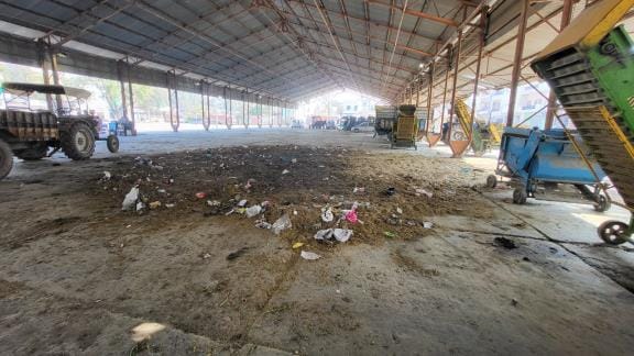 Lack of cleanliness in Ward 6, people troubled by abundance of stray animals