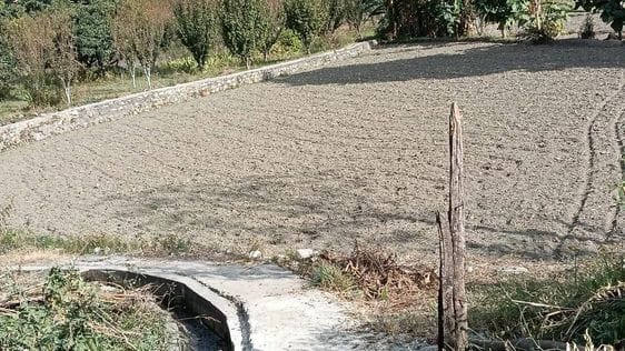 Koel-Byal 2500 bigha fertile land on the verge of drying up