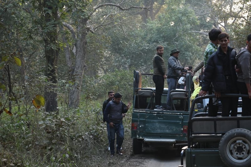 Investigation into the case of jungle excursion in rescue van started