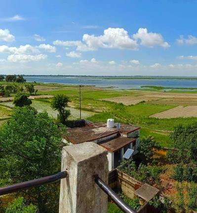 Bakhira bird stuck in the ground, construction of park in Bihar