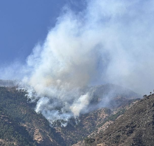Hundreds of pomegranate, pear and plum trees burnt due to fire in Nithar