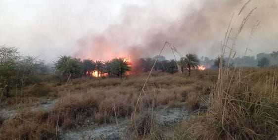 A huge fire broke out in the Dahemu forest
