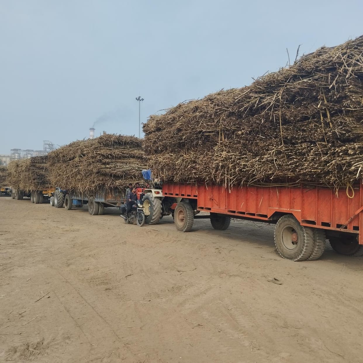 Overloaded trolleys carrying sugarcane are running on the road...there is no way of knowing where they might overturn