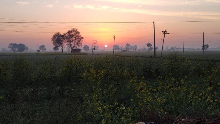 Farmers advised to water crops and inspect daily