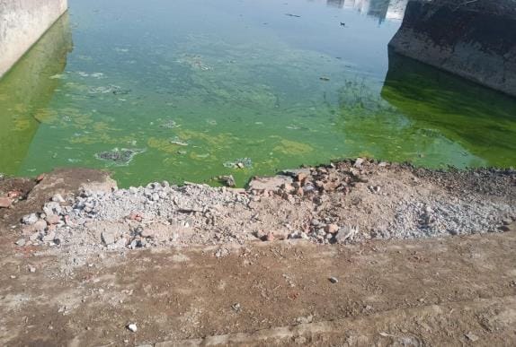 The condition of the pond is bad, animals are facing problems in going into the pond due to the breaking of the pier.