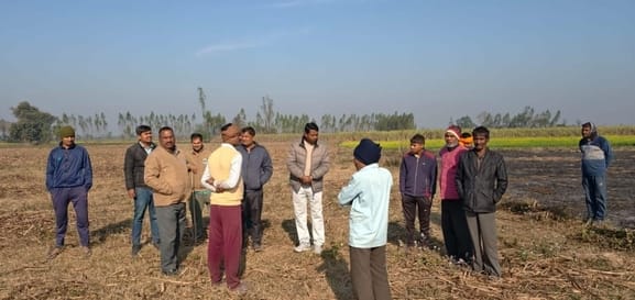 Tiger camped near Bechapur village