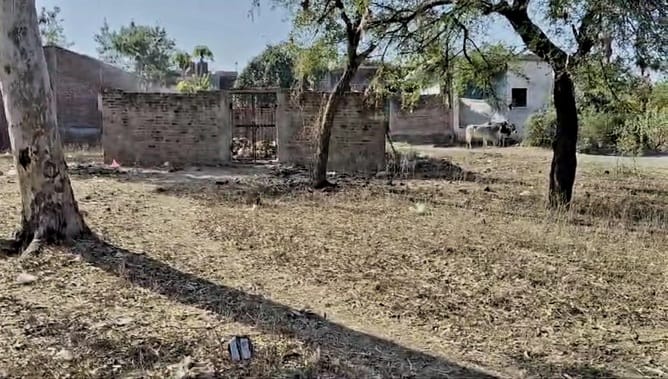 Bones of dead animals kept in the warehouse built in the middle of the village