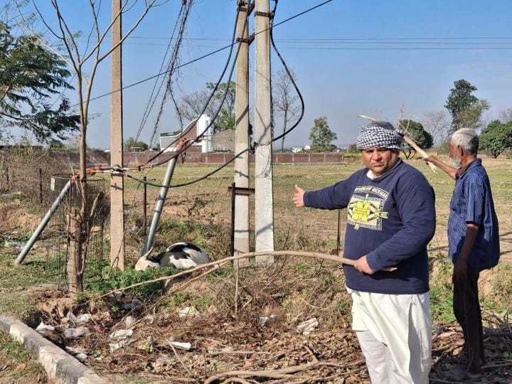Bull dies due to electric shock, panic in the area