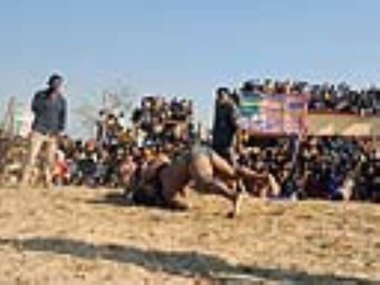 Ladi of Ayodhya defeated Vicky of Punjab
