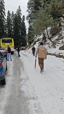 snowfall in shimla distt