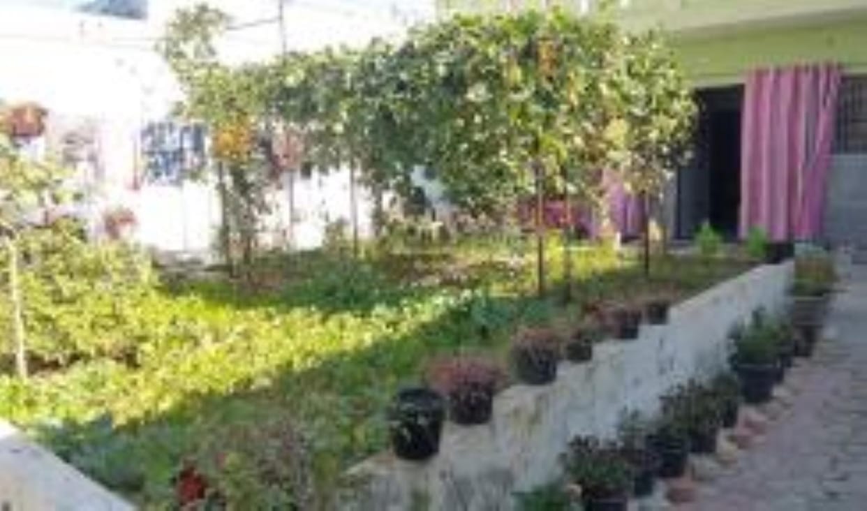 Pinki made garden in yard