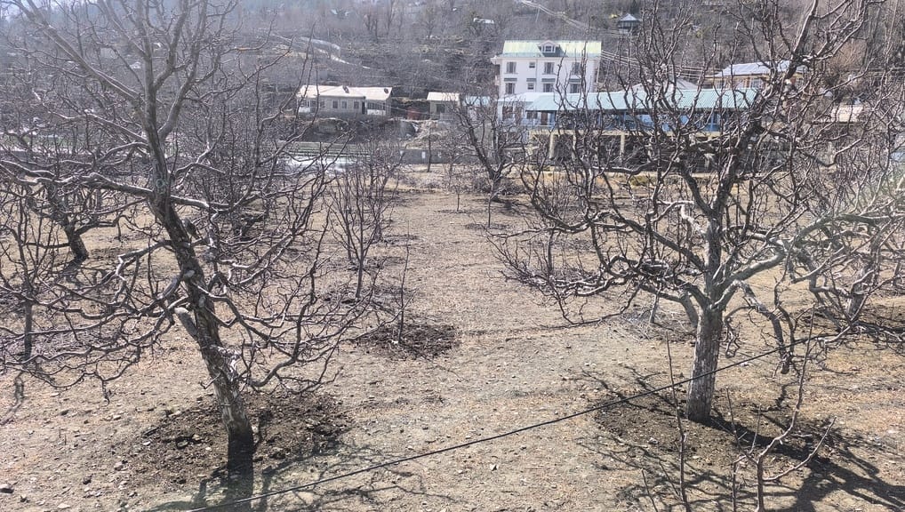 There was no rain in Rampur, farmers and gardeners were disappointed, Kinnaur