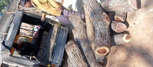 Illegal smuggling of Khair wood caught