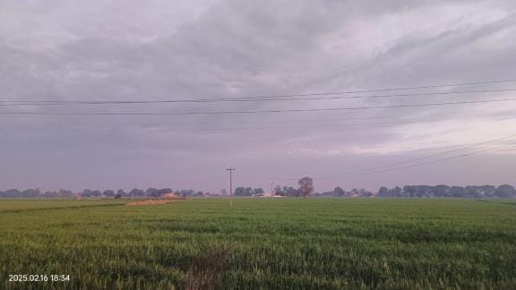 Cloudy after noon, difference of 15 degrees between day and night temperature