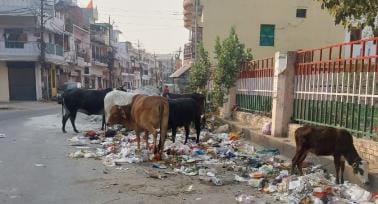 Private company did not pay salaries, employees did not collect garbage