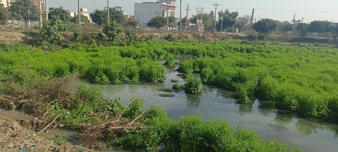 The problem of sewerage overflow in Sector 7 is not being solved