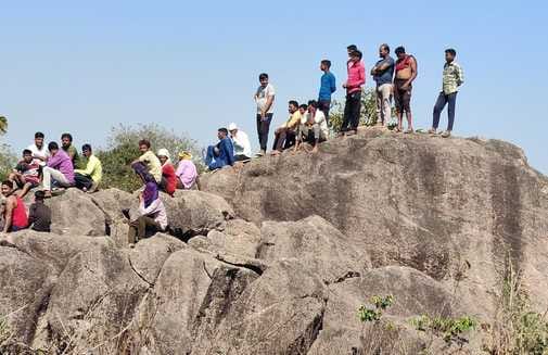 Chhindwara  Tiger attacks shepherd in Chaurai's Sankh, forest department saves life