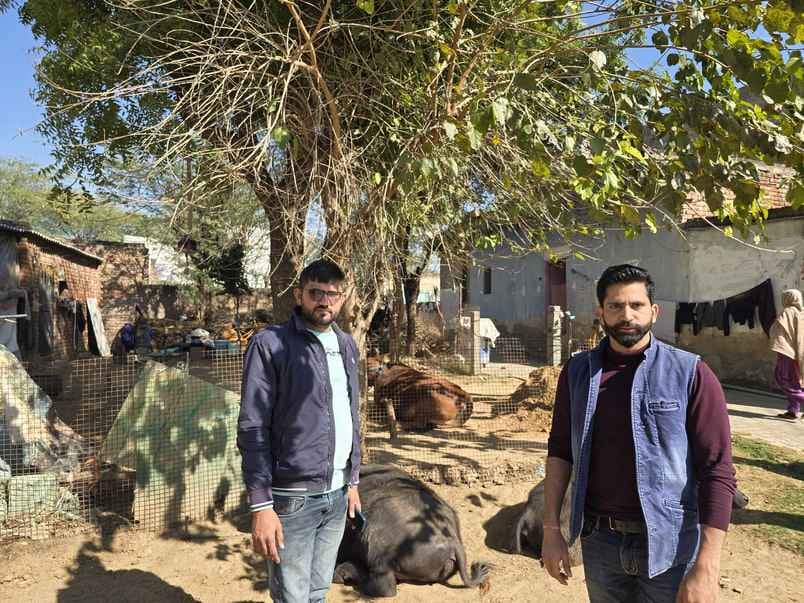 Livestock census... 2 percent increase this time compared to 2019