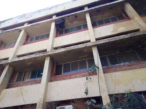 There are 8 bee hives in Civil Hospital, 2 in Mini Secretariat