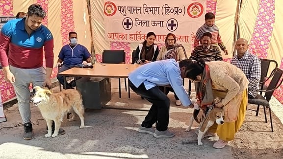 Animal Husbandry Department administered anti rabies vaccine to 101 dogs