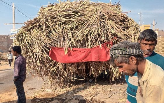 Bus and sugarcane laden tractor trolley collide, 17 injured