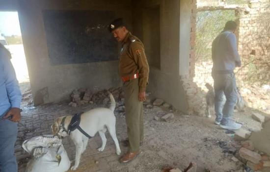 Checking done with dog squad and commando squad