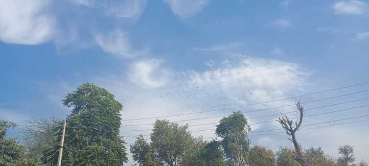 Fluctuations in weather, chances of rain today