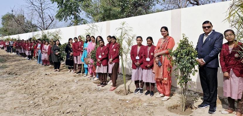 Farewell to students by planting 100 saplings