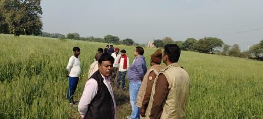 Woman's body found in wheat field, murder suspected