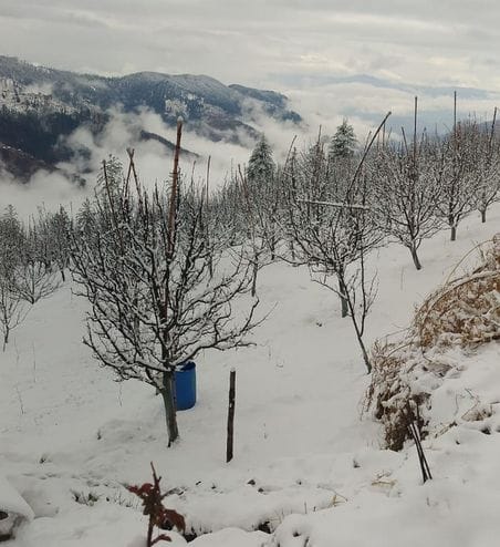 Water sources will be recharged due to rain and snowfall