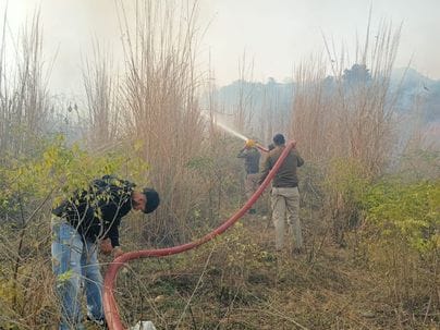 Tahliwal forest fire