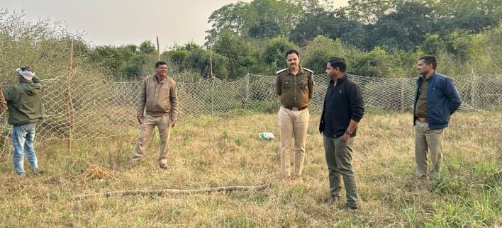 Tiger returns to Rahmankheda forest again