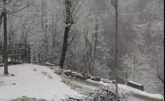 jammu kashmir news