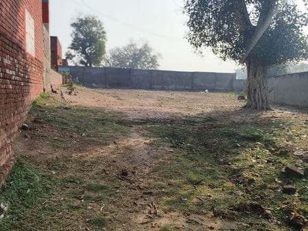 Demand to level the ground of government school Safidon