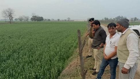 Two days passed since hailstorm, compensation portal not opened to compensate for crop damage