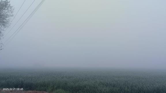 After a week, fog again prevailed, visibility remained three meters till 9 am