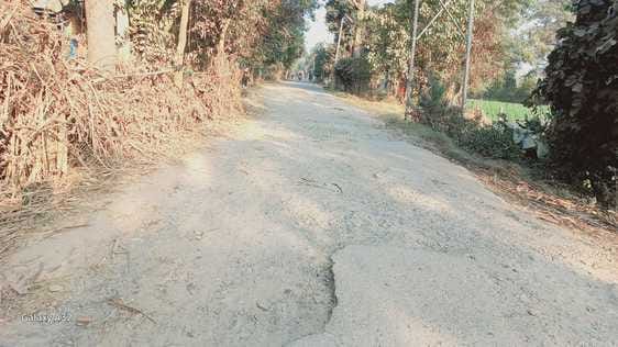 Bad roads, a shaky system