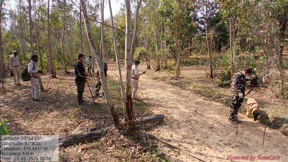 पाली के करकटी में बाघ का शव मिला