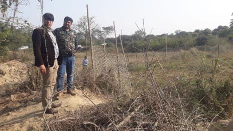 Tiger's footprints found in the forest, surveillance through camera
