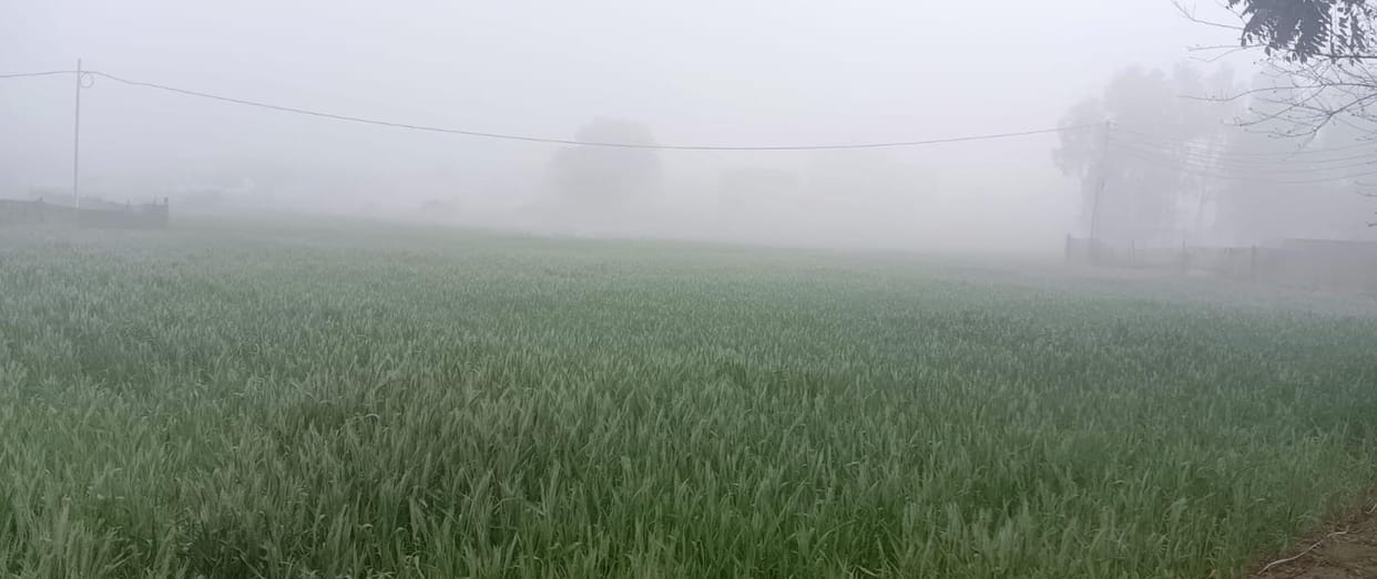 Mercury dropped due to drizzle